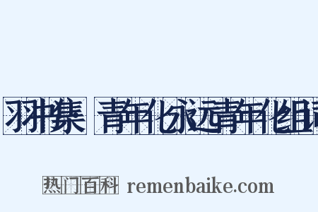 羽书集·青年化永远青年化组词是什么意思的图片